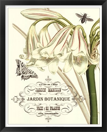 Framed Jardin Botanique I Print