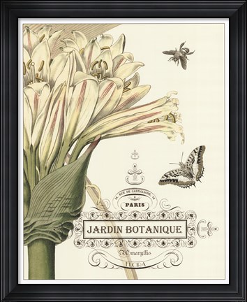 Framed Jardin Botanique II Print