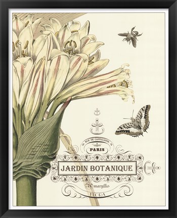 Framed Jardin Botanique II Print