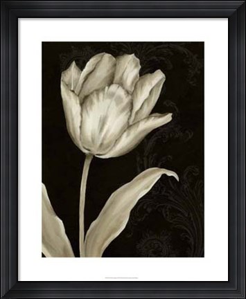 Framed Classical Tulip I Print
