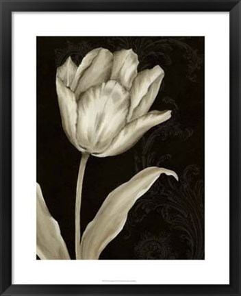 Framed Classical Tulip I Print