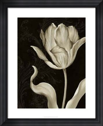 Framed Classical Tulip II Print