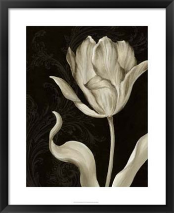 Framed Classical Tulip II Print