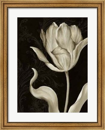 Framed Classical Tulip II Print