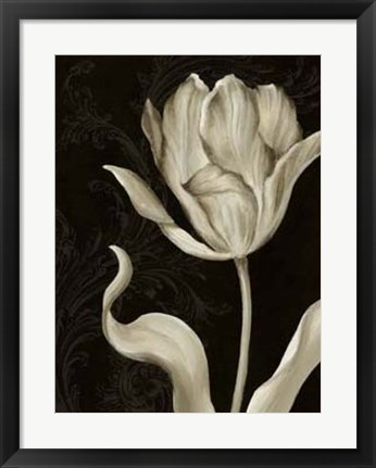 Framed Classical Tulip II Print