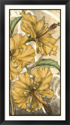 Framed Hibiscus Song II Print