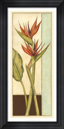 Framed Tropicana Botanical II Print