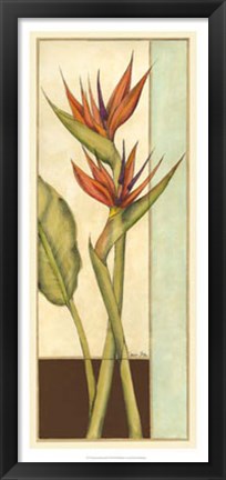 Framed Tropicana Botanical II Print
