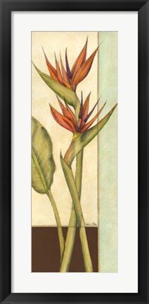 Framed Tropicana Botanical II Print