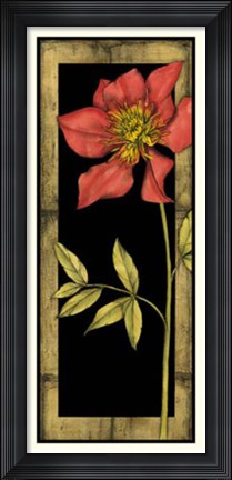 Framed Floral Inset II Print