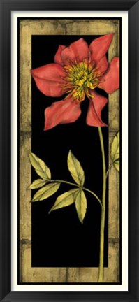 Framed Floral Inset II Print