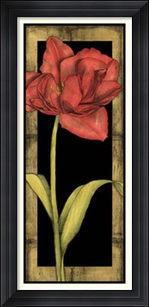 Framed Floral Inset III Print
