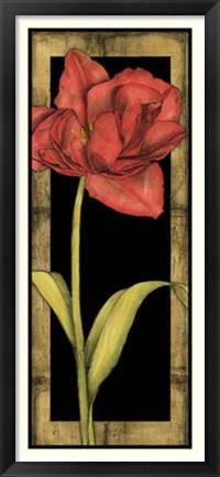 Framed Floral Inset III Print