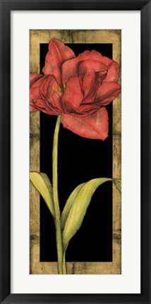 Framed Floral Inset III Print