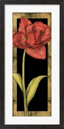 Framed Floral Inset III Print