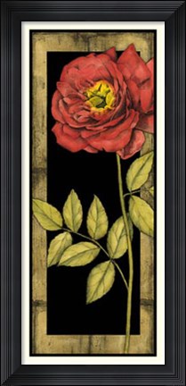 Framed Floral Inset IV Print