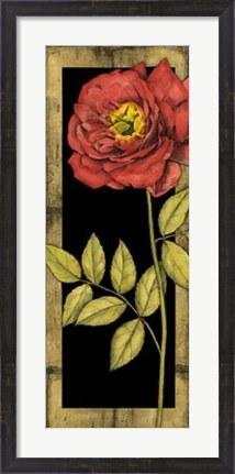 Framed Floral Inset IV Print