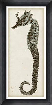 Framed Vintage Seahorse I Print