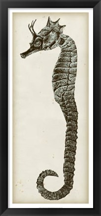 Framed Vintage Seahorse I Print