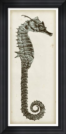 Framed Vintage Seahorse II Print
