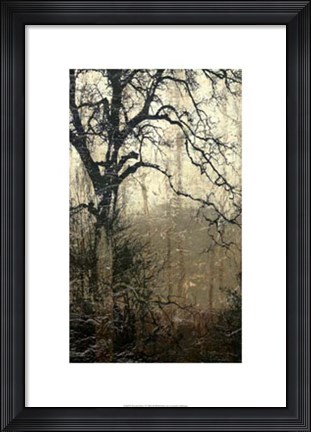 Framed Wooded Solace I Print