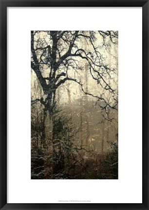 Framed Wooded Solace I Print