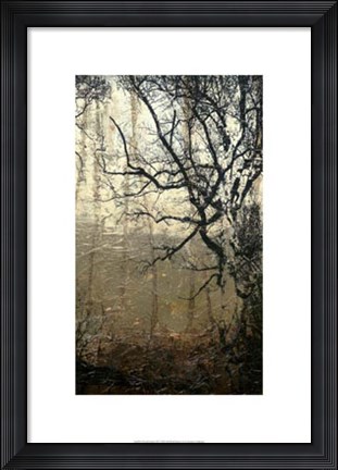 Framed Wooded Solace III Print