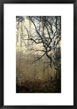 Framed Wooded Solace III Print