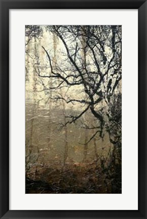 Framed Wooded Solace III Print