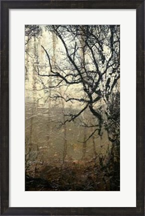Framed Wooded Solace III Print