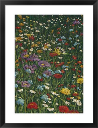 Framed Bright Wildflower Field II Print