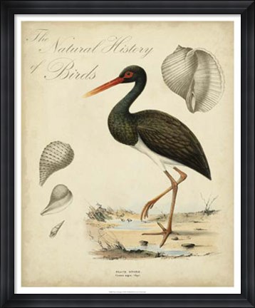 Framed Heron Anthology I Print