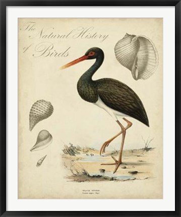 Framed Heron Anthology I Print