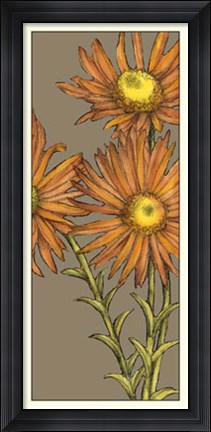 Framed Graphic Flower Panel I Print