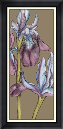Framed Graphic Flower Panel III Print