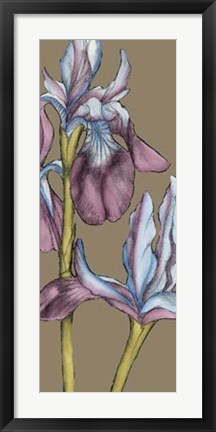 Framed Graphic Flower Panel III Print