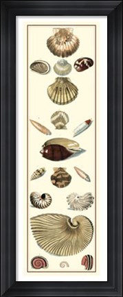 Framed Studies in Symmetry Panel I Print