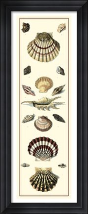 Framed Studies in Symmetry Panel II Print