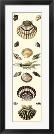 Framed Studies in Symmetry Panel II Print
