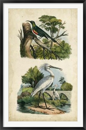 Framed Avian Sanctuary I Print