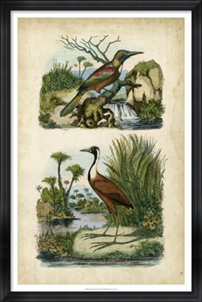 Framed Avian Sanctuary II Print