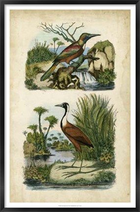 Framed Avian Sanctuary II Print