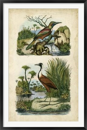 Framed Avian Sanctuary II Print