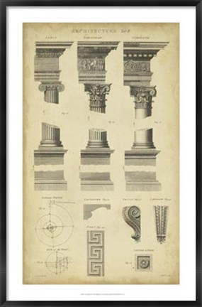 Framed Encyclopediae III Print