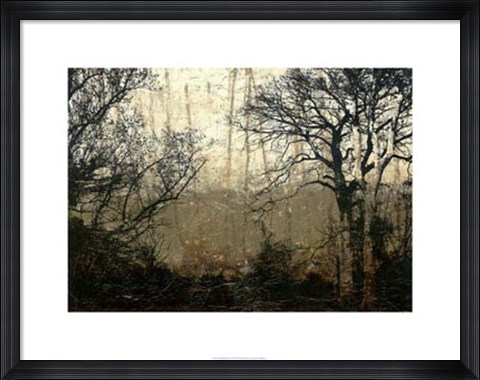 Framed Wooded Solace II Print