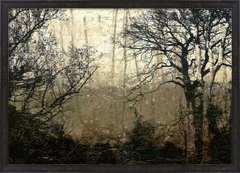 Framed Wooded Solace II Print