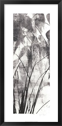Framed Exposure IV Print