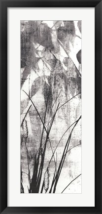 Framed Exposure IV Print