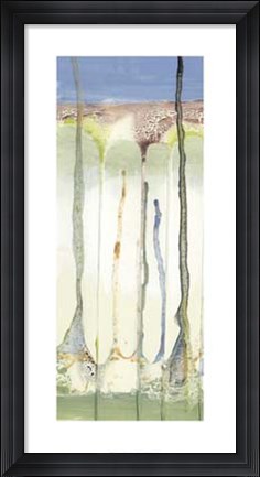 Framed Tributary II Print