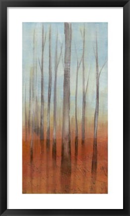 Framed Birch Forest II Print